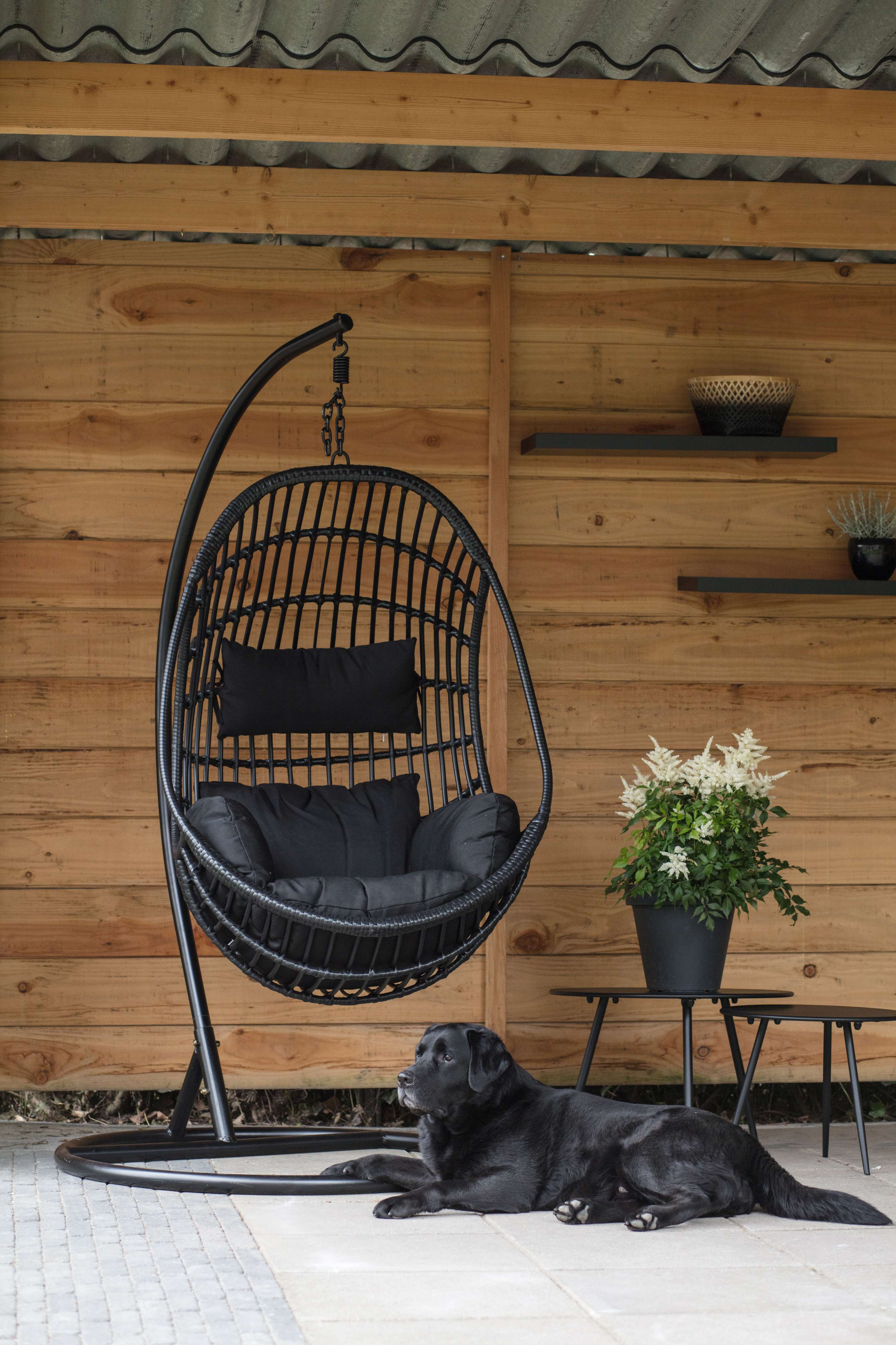41490_6 Lesli Living Hängesessel »Sturdy Black«